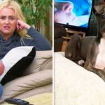 Gogglebox 2019: Ellie Warner apologises after backlash for ‘pushing’ dog on Channel 4 show
