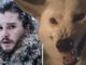 Game of Thrones season 8 episode 3: ‘Don’t be dead!’ Fans DEVASTATED over this death