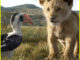 ‘The Lion King’ Gets Brand New Trailer – Watch Now!