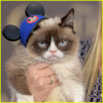 Grumpy Cat Dead – Beloved Internet Famous Cat Dies at 7