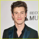 Shawn Mendes Posts Message to LGBTQ Fans in Honor of Pride Month