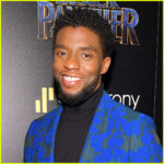 Marvel’s ‘ Black Panther 2 ‘ Release Date Revealed at D23!